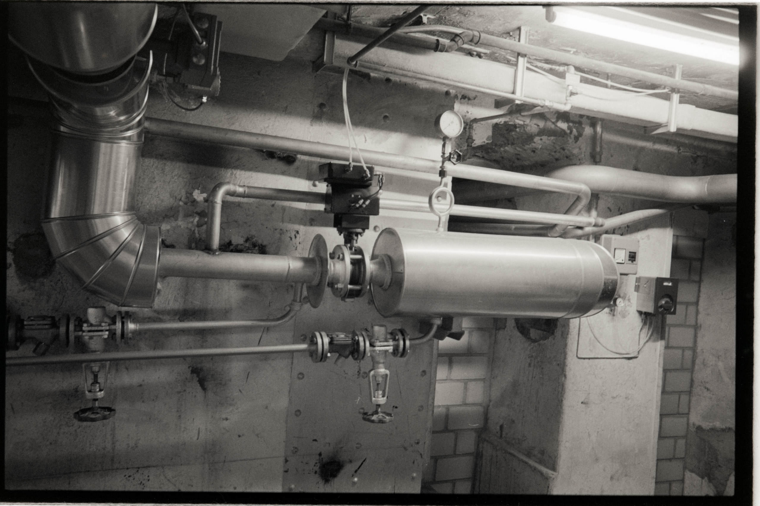 AHP FilmScan 240731 0758